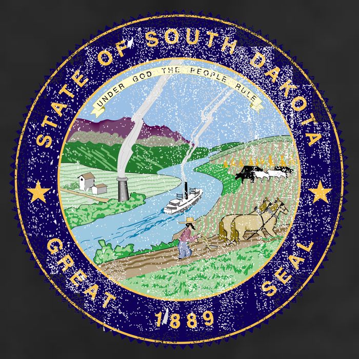 South Dakota Seal 7 Panel Mesh Trucker Snapback Hat
