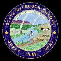 South Dakota Seal Tall Sweatshirt