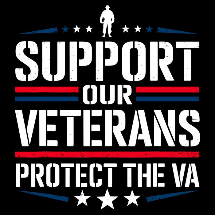 Support our Veterans protect And The VA 7-Panel Snapback Hat