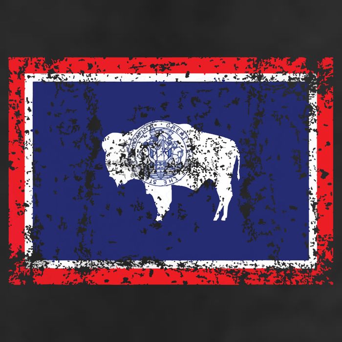 State Of Wyoming Flag Vintage Hat