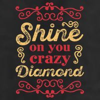 Shine On You Crazy Diamond Graphic Rock Adult Drive Performance Visor