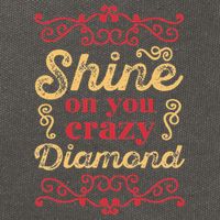Shine On You Crazy Diamond Graphic Rock Cotton Canvas Backpack