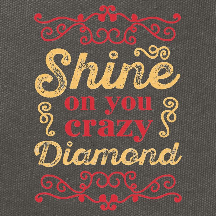 Shine On You Crazy Diamond Graphic Rock Cotton Canvas Backpack