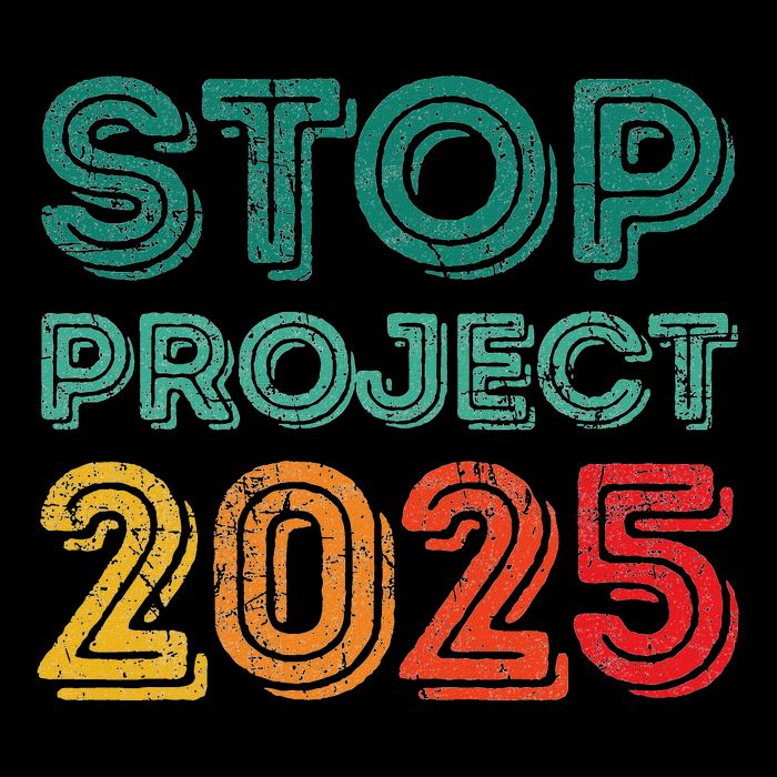 Stop Project 2025 Anti Fascism Anti Racism Pro Democratic T-Shirt