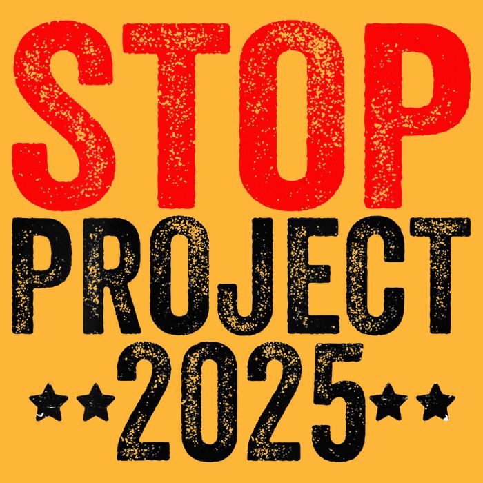 Stop Project 2025 Sustainable Knit Beanie