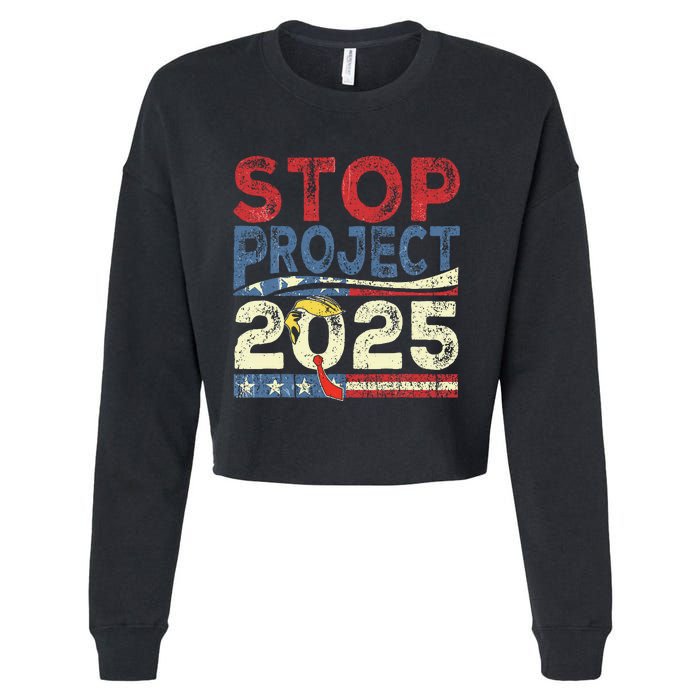 Stop Project 2025 Look It Up Y’All Cropped Pullover Crew