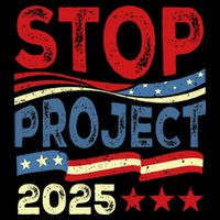 Stop Project 2025 Anti Trump Usa Flag Political Women's Crop Top Tee