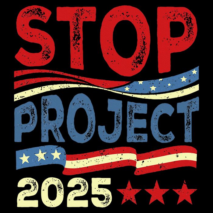 Stop Project 2025 Anti Trump Usa Flag Political Women's Crop Top Tee