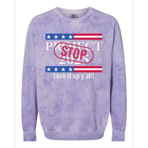 Stop Project 2025 Look It Up Y’All Anti Trump Colorblast Crewneck Sweatshirt