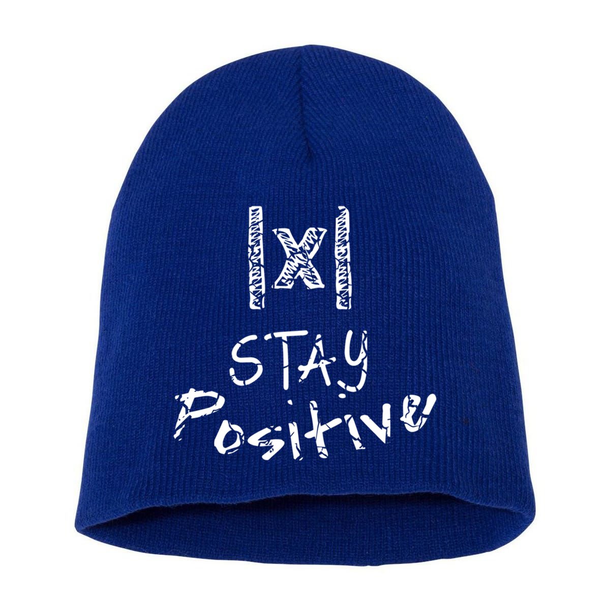 Stay Positive Absolute Value Funny Math Teacher Calculus Gift Short Acrylic Beanie