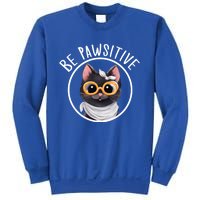 Stay Pawsitive And Cat Pawsitive For Nerdy Cat Gift Sweatshirt