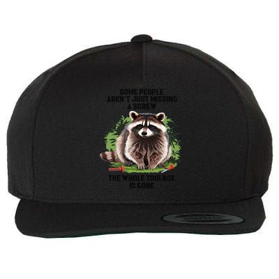 Some People Arent Just Missing A Screw The Whole Toolbox Gift Wool Snapback Cap