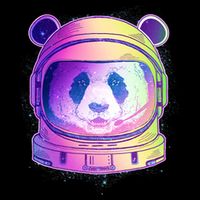 Space Astro Panda Cropped Pullover Crew