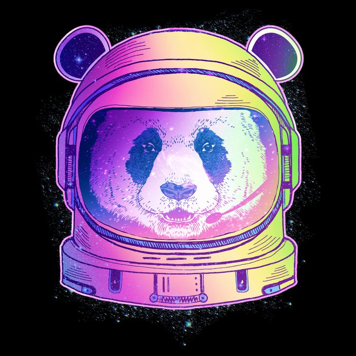 Space Astro Panda Cropped Pullover Crew