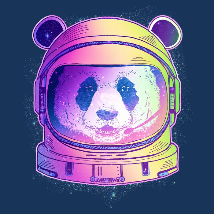 Space Astro Panda 16 in Basic Backpack