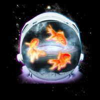 Space Astronaut Helmet Goldfish Button