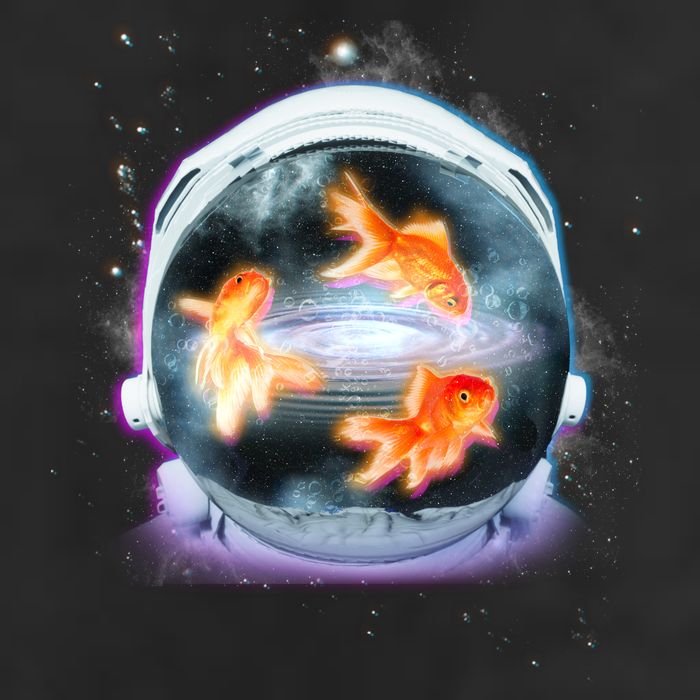 Space Astronaut Helmet Goldfish 25L Jumbo Tote