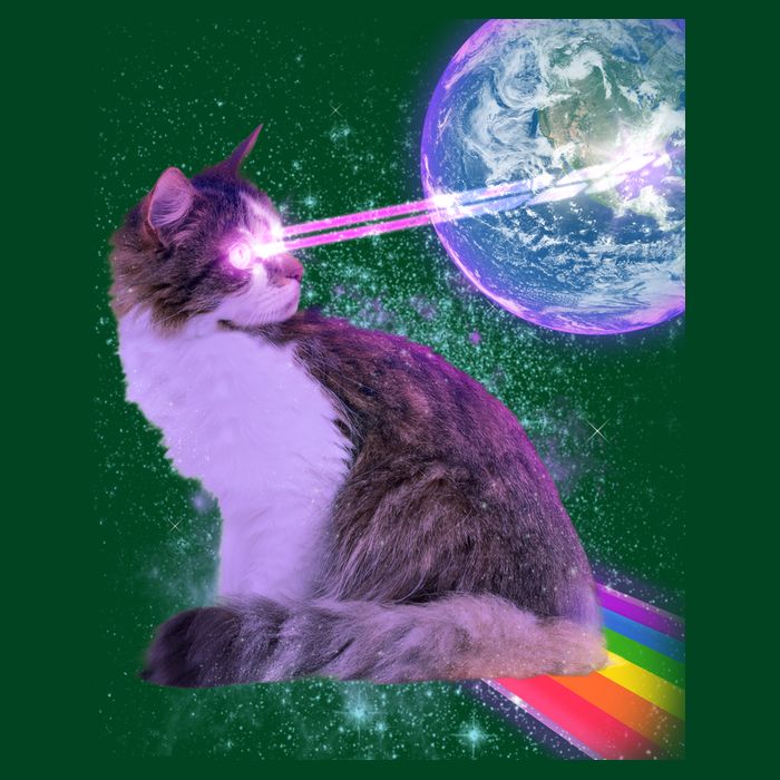 Space Cat Shooting Lazer Into Moon Visor