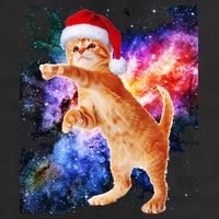 Space Christmas Cat Santa Kitty 7 Panel Mesh Trucker Snapback Hat