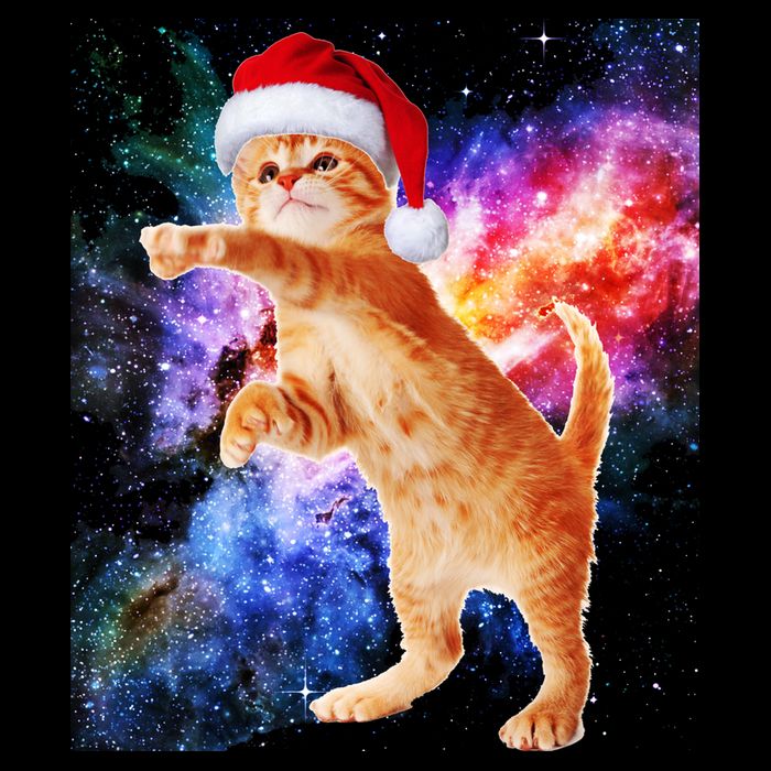Space Christmas Cat Santa Kitty City Backpack