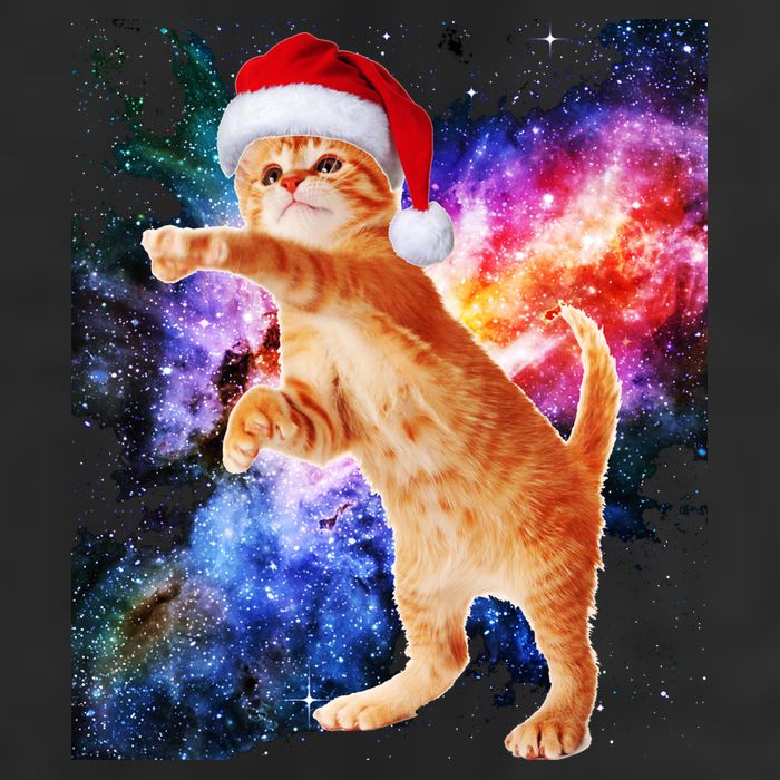 Space Christmas Cat Santa Kitty 11oz C Handle Ceramic Mug