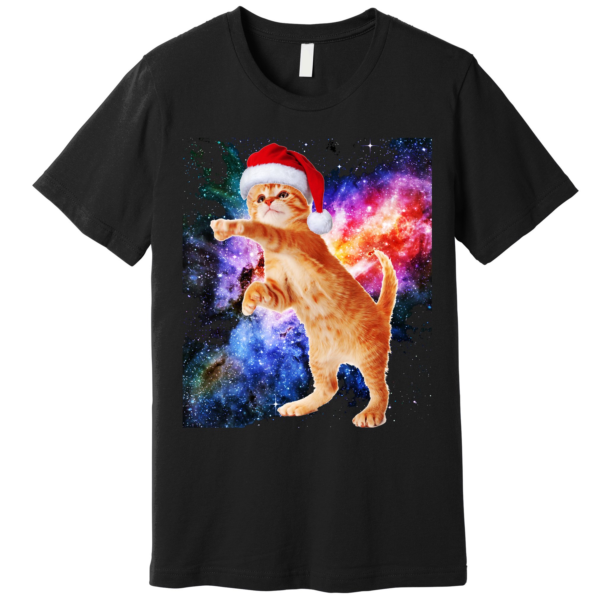 Space Christmas Cat Santa Kitty Premium T-Shirt