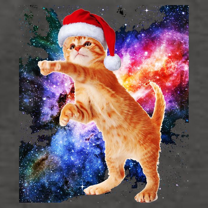 Space Christmas Cat Santa Kitty Vector Backpack