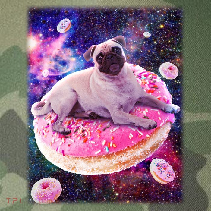 Space Donut Pug Legacy Tie Dye Trucker Hat