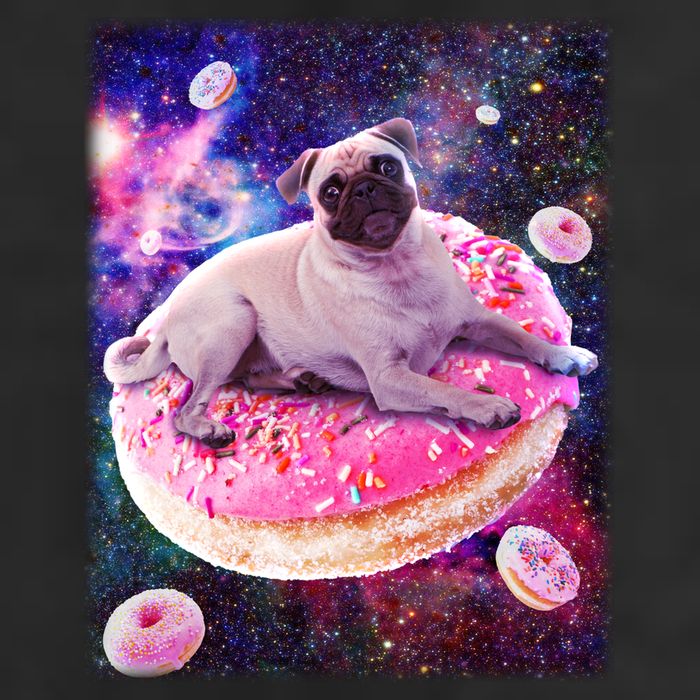 Space Donut Pug Cool Comfort Performance Bucket Hat