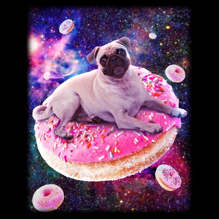 Space Donut Pug Polo