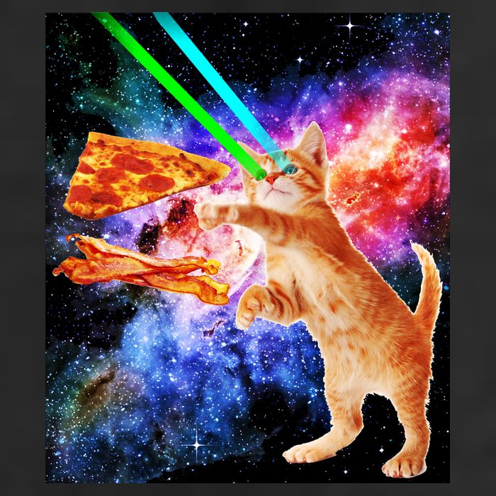 Space Hunger Flying Cat Pizza Bacon1 Microfiber Hand Towel