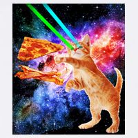 Space Hunger Flying Cat Pizza Bacon1 Garment-Dyed Sweatshirt