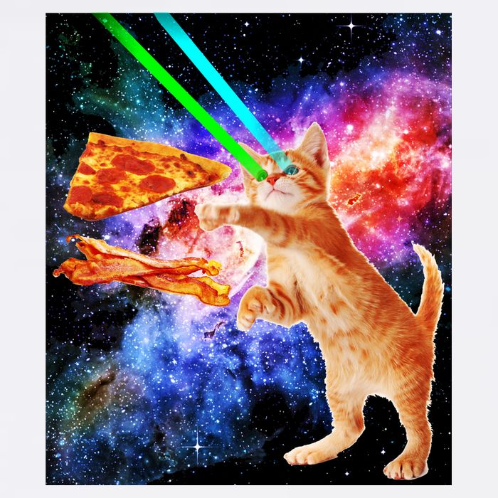 Space Hunger Flying Cat Pizza Bacon1 Garment-Dyed Sweatshirt
