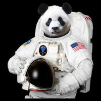 Space Panda USA Astronaut Cooling Performance Crew T-Shirt