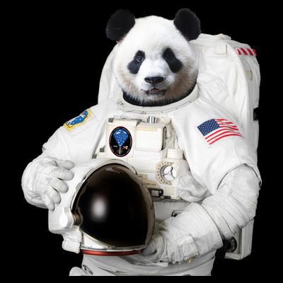 Space Panda USA Astronaut T-Shirt