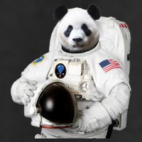 Space Panda USA Astronaut Adult Drive Performance Visor