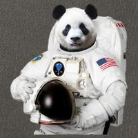 Space Panda USA Astronaut Cotton Canvas Backpack