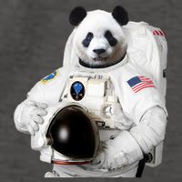 Space Panda USA Astronaut Vector Backpack