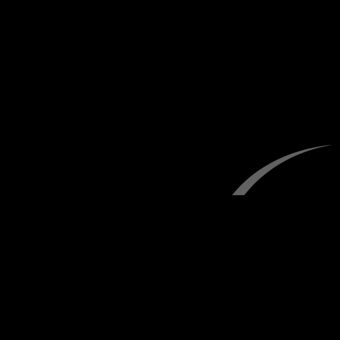 Space X Logo Mug