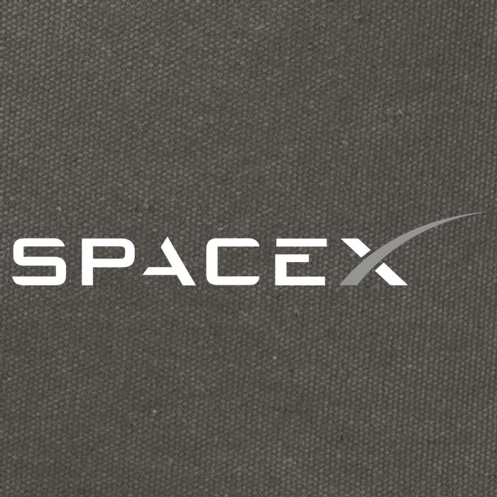 Space X Logo Cotton Canvas Backpack