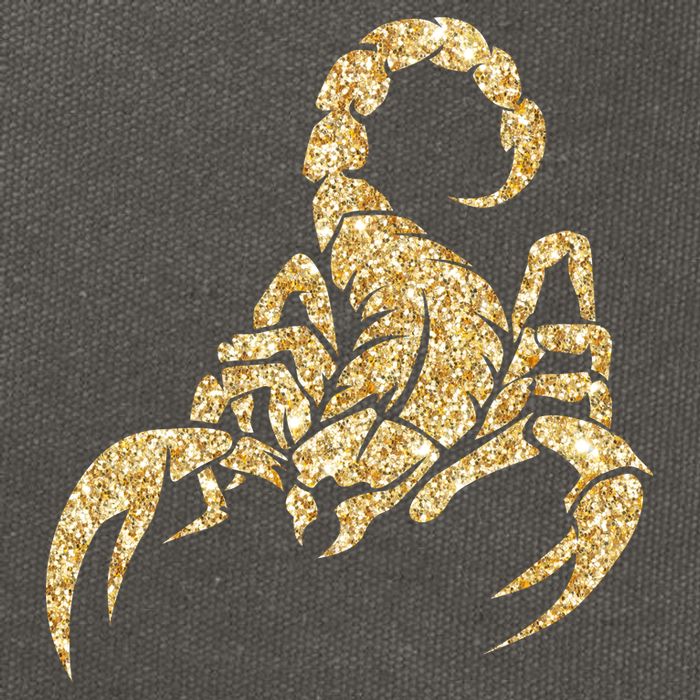 Sparkly Scorpion  Cotton Canvas Backpack