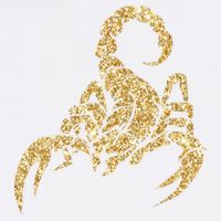 Sparkly Scorpion  Garment-Dyed Sweatshirt