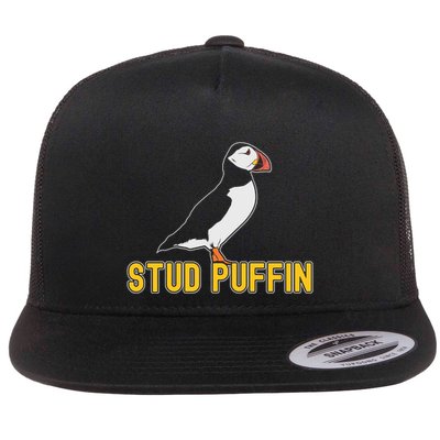 Stud Puffin Birthday Seabird Muffin Arctic Style Animals Cute Gift Flatbill Hat