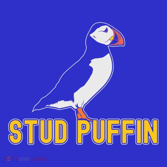 Stud Puffin Birthday Seabird Muffin Arctic Style Animals Cute Gift 16 in Basic Backpack