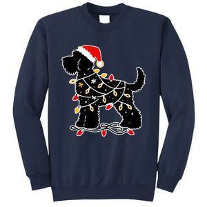 Santa Puppy Christmas Lights Sweatshirt