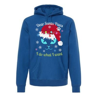 Santa Paws Cat Christmas I Do What I Want Distressed Retro Gift Premium Hoodie