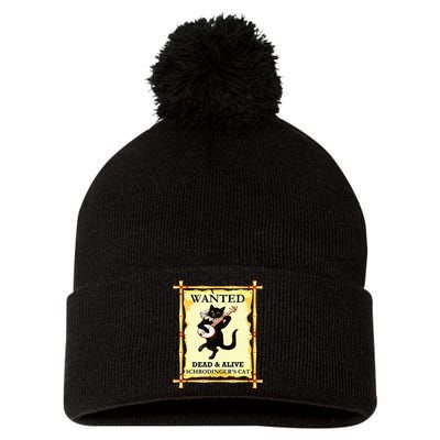 SchrodingerS Physics Cat Quantum Physicist Pom Pom 12in Knit Beanie