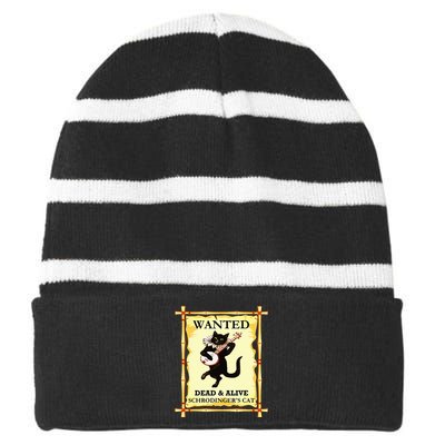 SchrodingerS Physics Cat Quantum Physicist Striped Beanie with Solid Band