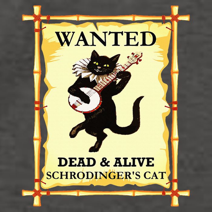 SchrodingerS Physics Cat Quantum Physicist Vector Backpack