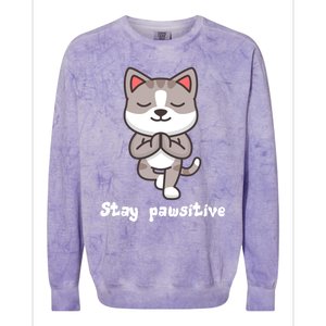 Stay Pawsitive Cool Yoga Positive Funny Cat Pun Quote Gift Colorblast Crewneck Sweatshirt